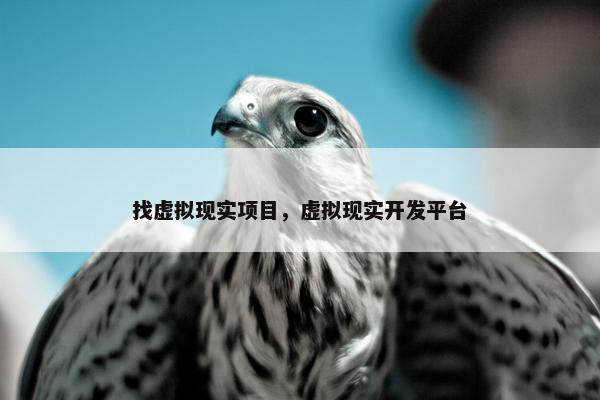 找虚拟现实项目，虚拟现实开发平台