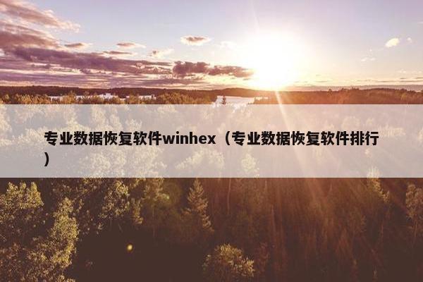 专业数据恢复软件winhex（专业数据恢复软件排行）