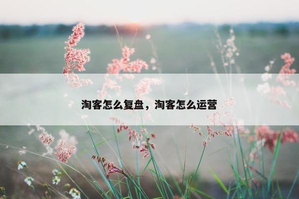 淘客怎么复盘，淘客怎么运营