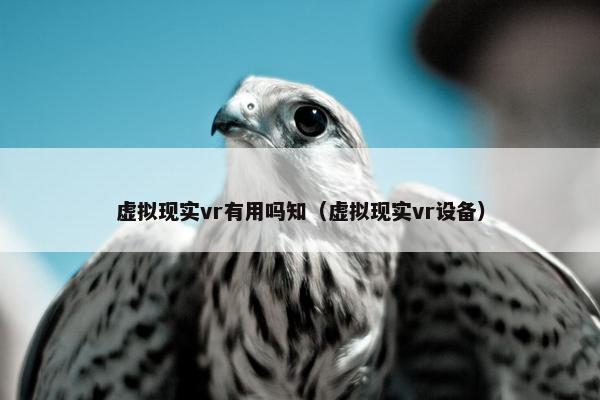 虚拟现实vr有用吗知（虚拟现实vr设备）