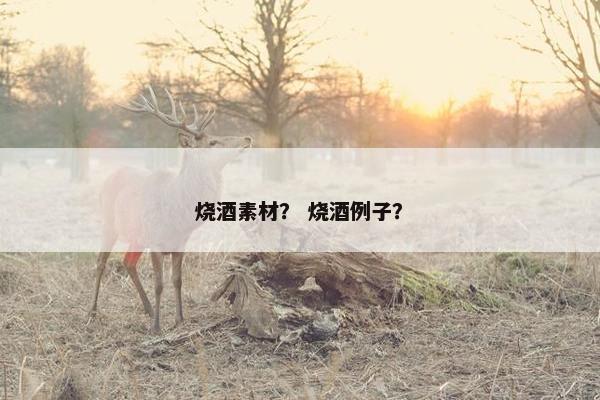 烧酒素材？ 烧酒例子？