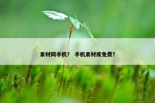 素材网手机？ 手机素材库免费？