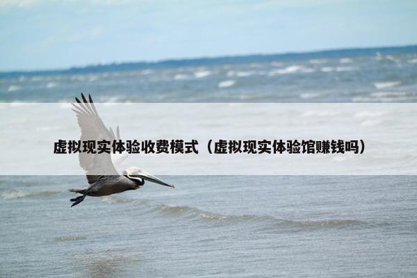 虚拟现实体验收费模式（虚拟现实体验馆赚钱吗）