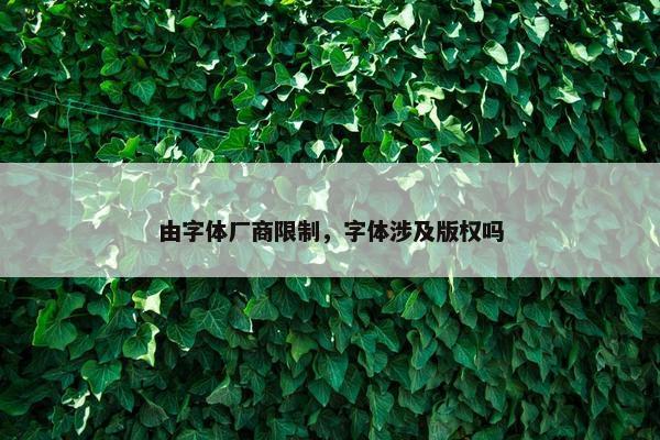 由字体厂商限制，字体涉及版权吗