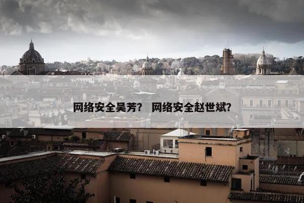 网络安全吴芳？ 网络安全赵世斌？