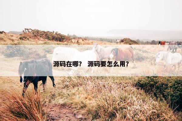源码在哪？ 源码要怎么用？