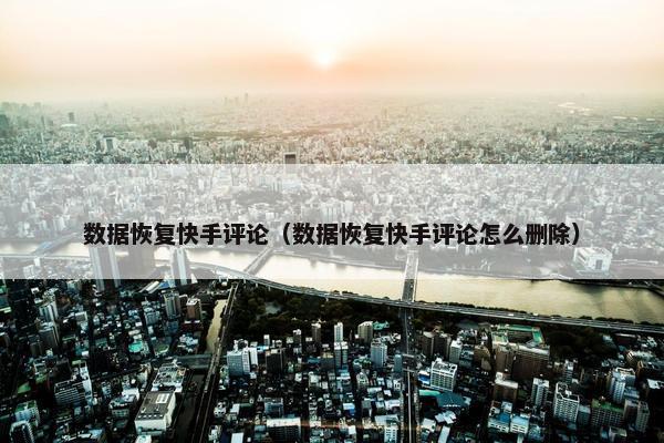 数据恢复快手评论（数据恢复快手评论怎么删除）