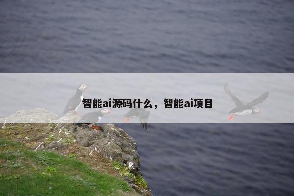智能ai源码什么，智能ai项目
