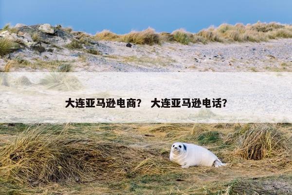 大连亚马逊电商？ 大连亚马逊电话？