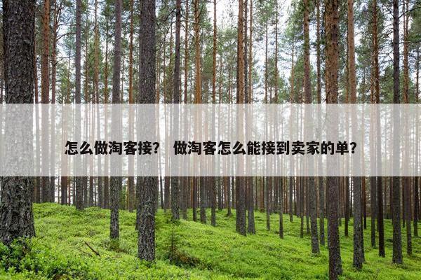 怎么做淘客接？ 做淘客怎么能接到卖家的单？