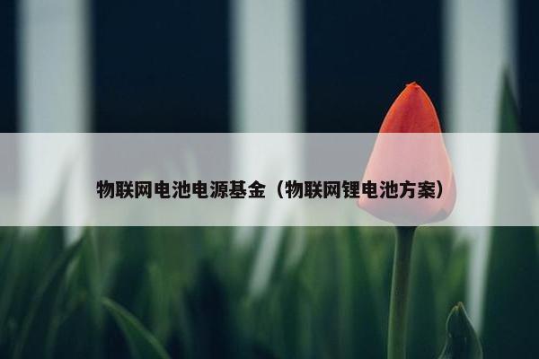 物联网电池电源基金（物联网锂电池方案）