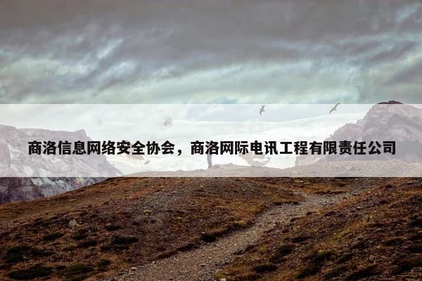 商洛信息网络安全协会，商洛网际电讯工程有限责任公司