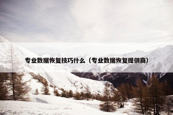 专业数据恢复技巧什么（专业数据恢复提供商）