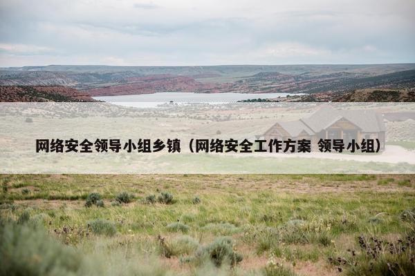 网络安全领导小组乡镇（网络安全工作方案 领导小组）