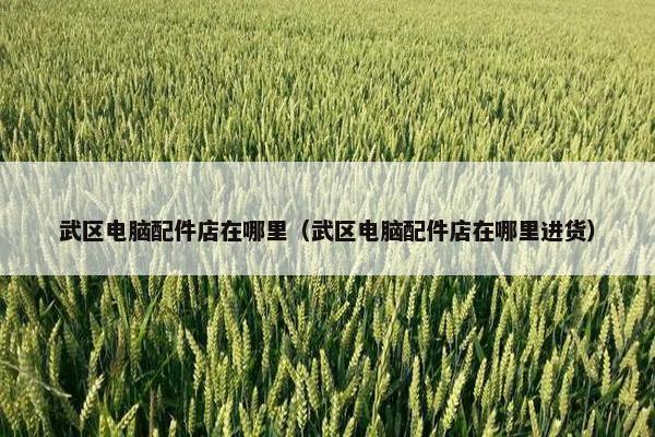 武区电脑配件店在哪里（武区电脑配件店在哪里进货）