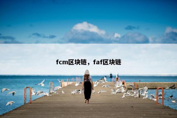 fcm区块链，faf区块链