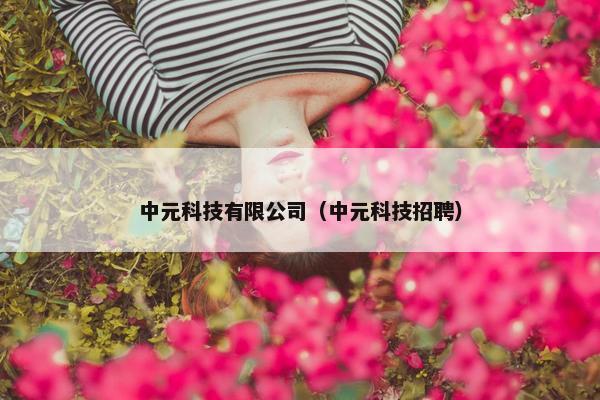 中元科技有限公司（中元科技招聘）