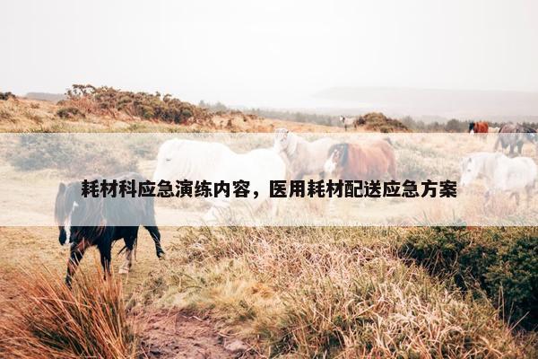 耗材科应急演练内容，医用耗材配送应急方案