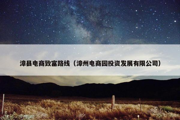漳县电商致富路线（漳州电商园投资发展有限公司）