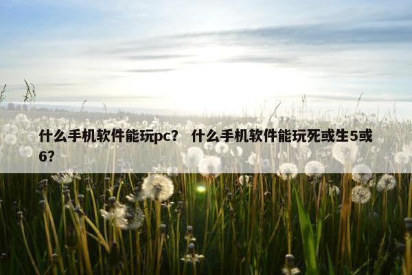 什么手机软件能玩pc？ 什么手机软件能玩死或生5或6？