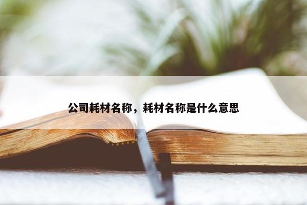 公司耗材名称，耗材名称是什么意思