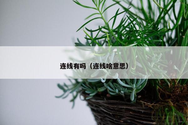 连线有吗（连线啥意思）