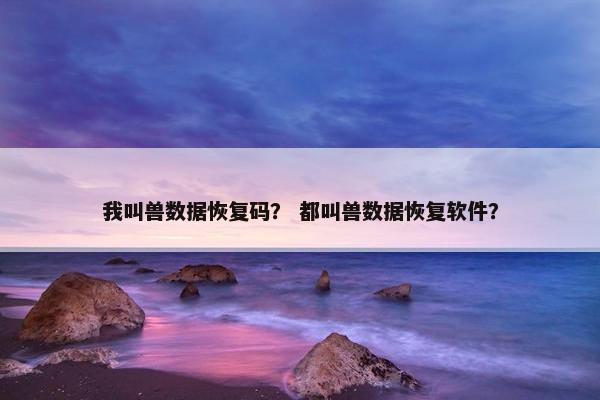 我叫兽数据恢复码？ 都叫兽数据恢复软件？