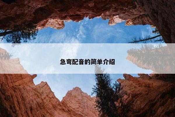 急弯配音的简单介绍