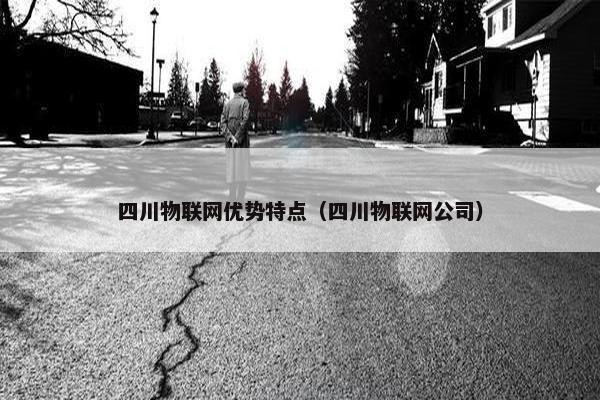 四川物联网优势特点（四川物联网公司）
