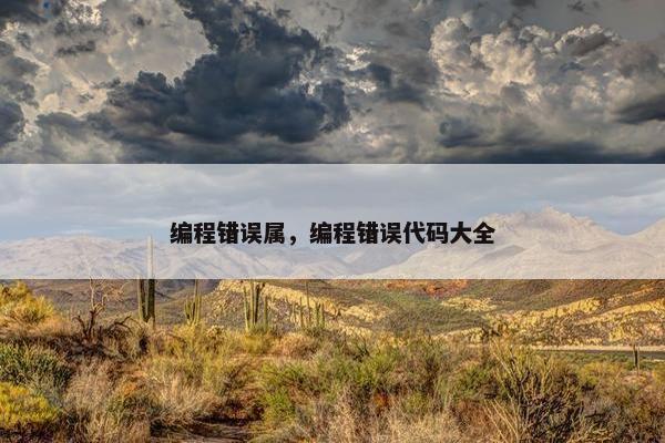 编程错误属，编程错误代码大全