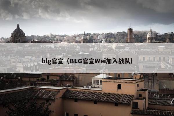 blg官宣（BLG官宣Wei加入战队）