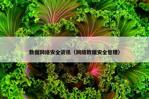 数据网络安全资讯（网络数据安全管理）