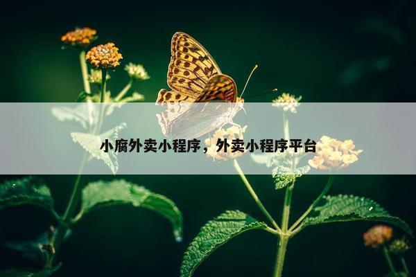 小腐外卖小程序，外卖小程序平台