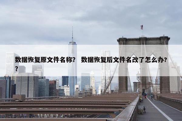 数据恢复原文件名称？ 数据恢复后文件名改了怎么办?？