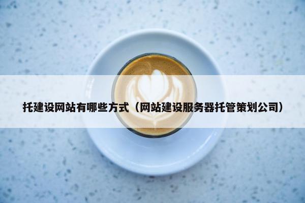 托建设网站有哪些方式（网站建设服务器托管策划公司）