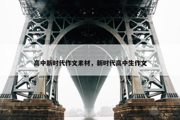 高中新时代作文素材，新时代高中生作文