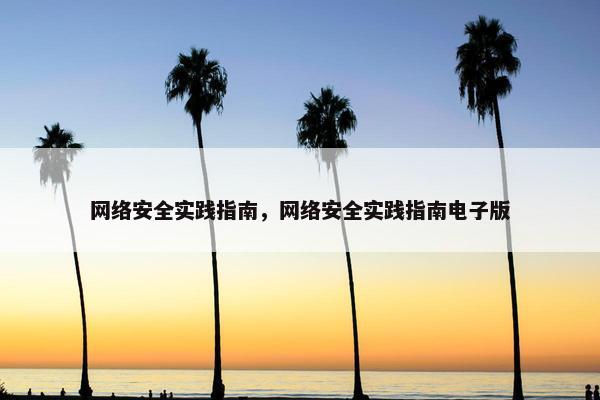 网络安全实践指南，网络安全实践指南电子版
