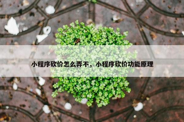 小程序砍价怎么弄不，小程序砍价功能原理
