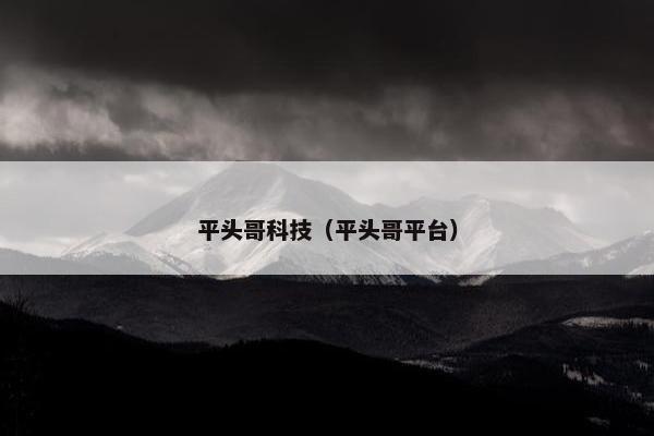 平头哥科技（平头哥平台）