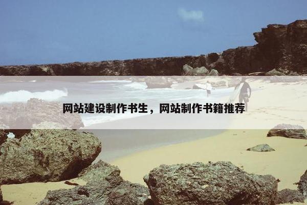 网站建设制作书生，网站制作书籍推荐