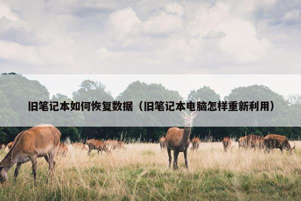 旧笔记本如何恢复数据（旧笔记本电脑怎样重新利用）