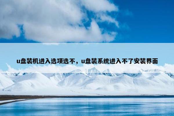 u盘装机进入选项选不，u盘装系统进入不了安装界面