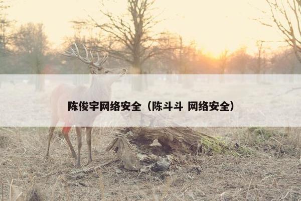 陈俊宇网络安全（陈斗斗 网络安全）