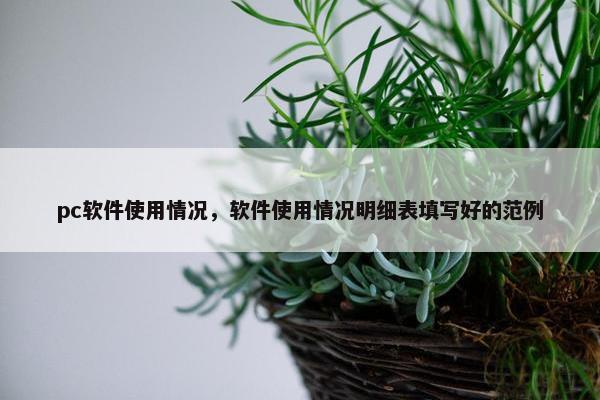 pc软件使用情况，软件使用情况明细表填写好的范例