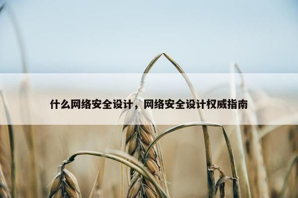 什么网络安全设计，网络安全设计权威指南