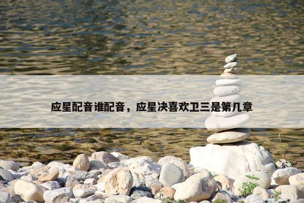 应星配音谁配音，应星决喜欢卫三是第几章