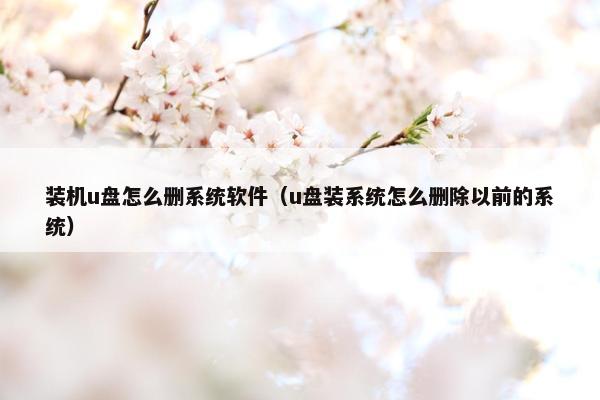 装机u盘怎么删系统软件（u盘装系统怎么删除以前的系统）