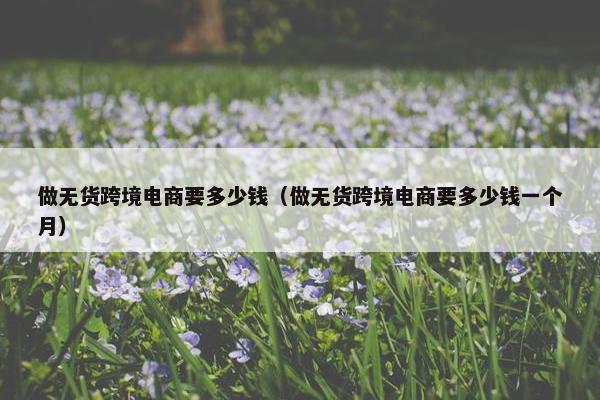 做无货跨境电商要多少钱（做无货跨境电商要多少钱一个月）