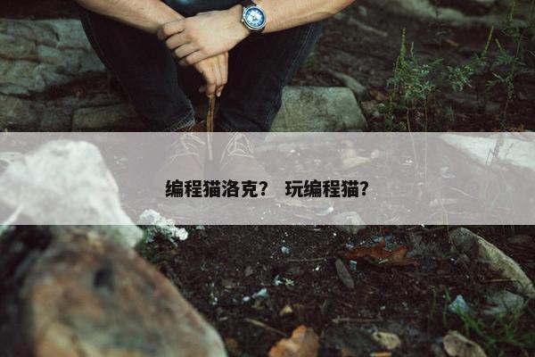 编程猫洛克？ 玩编程猫？