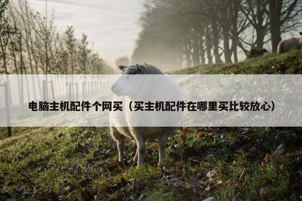 电脑主机配件个网买（买主机配件在哪里买比较放心）